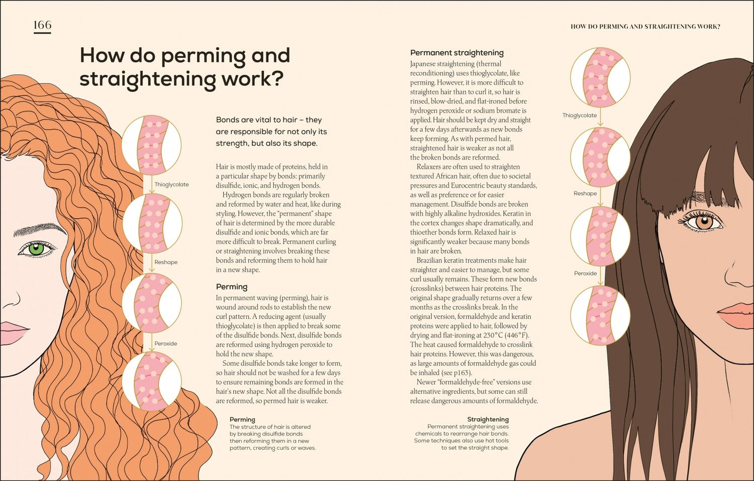 Michelle Wong: The Science of Beauty