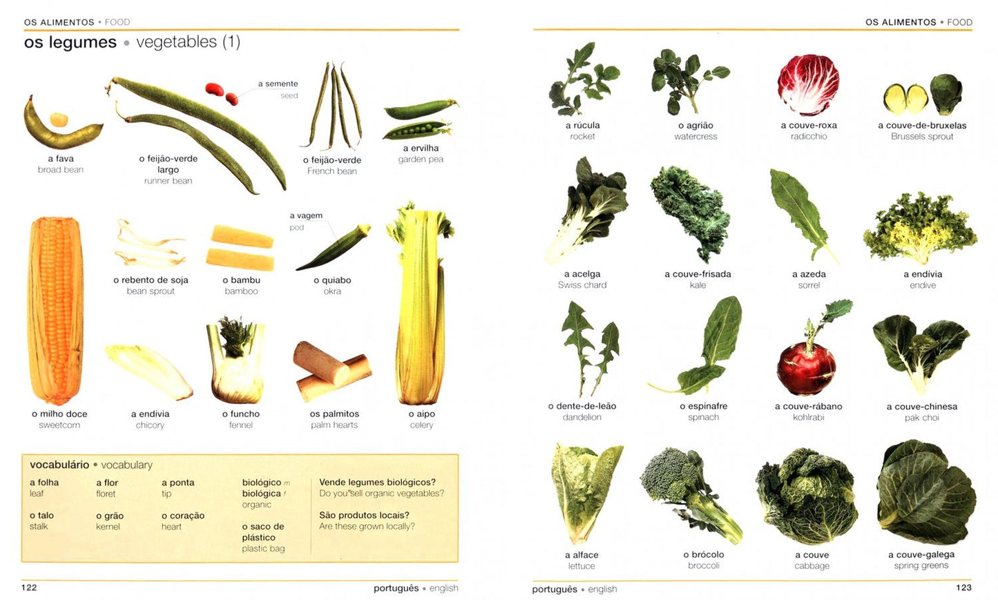 Portuguese English Bilingual Visual Dictionary