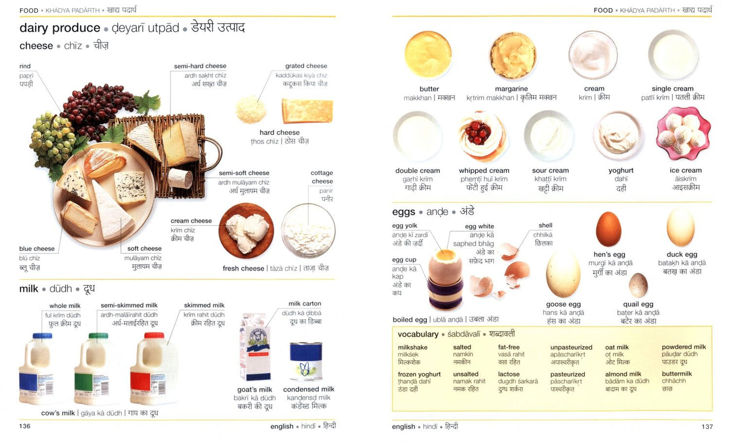 Hindi English Bilingual Visual Dictionary