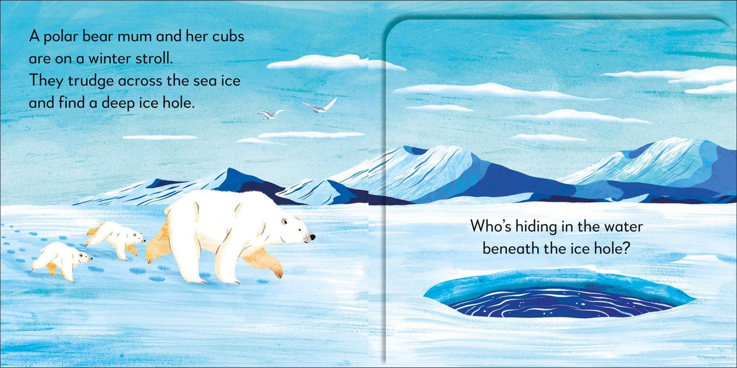 Pop-up Peekaboo! Winter