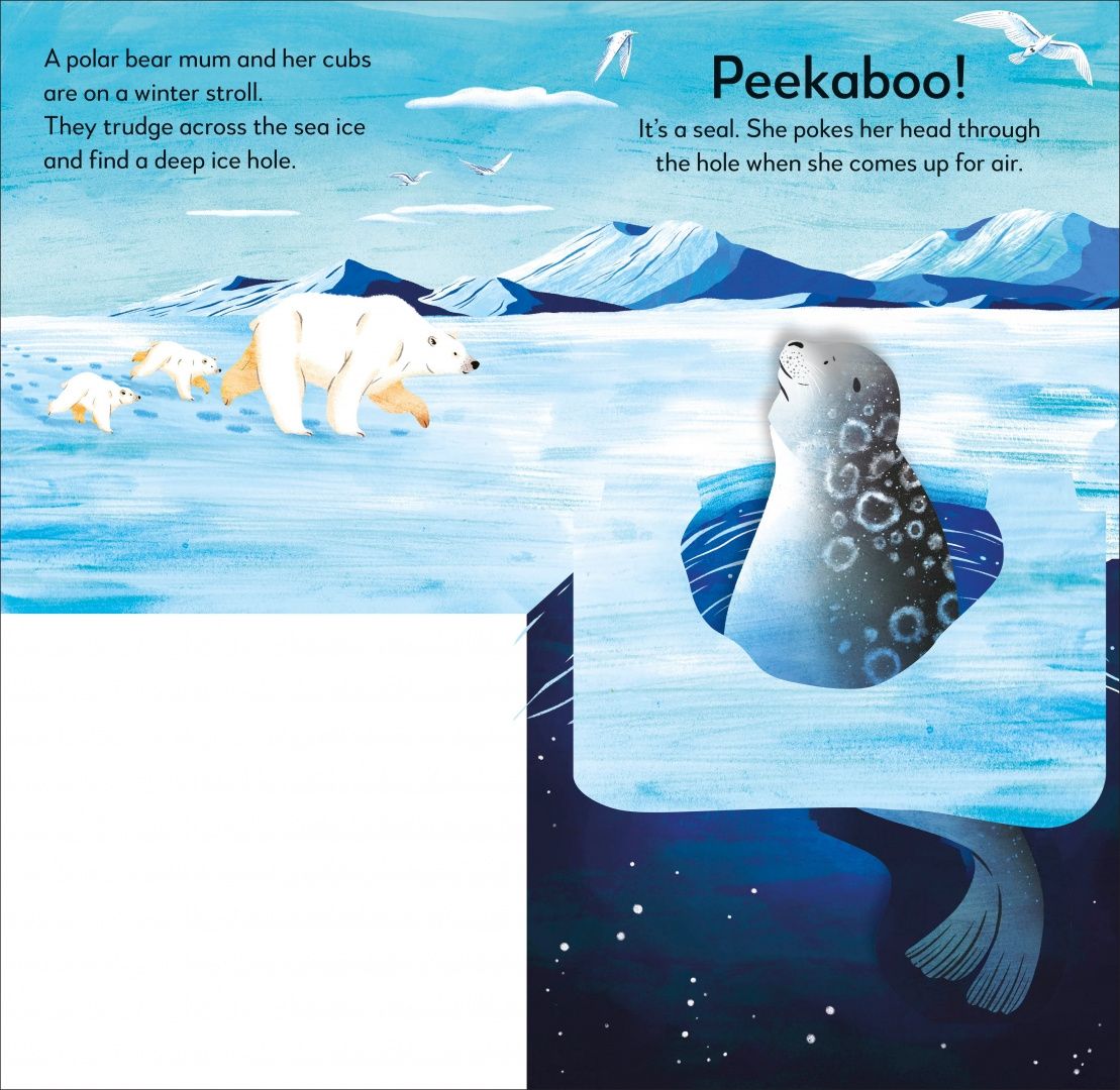 Pop-up Peekaboo! Winter