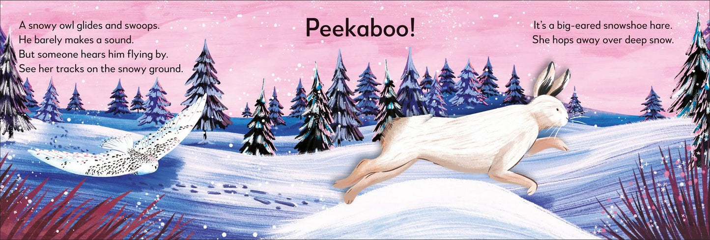 Pop-up Peekaboo! Winter