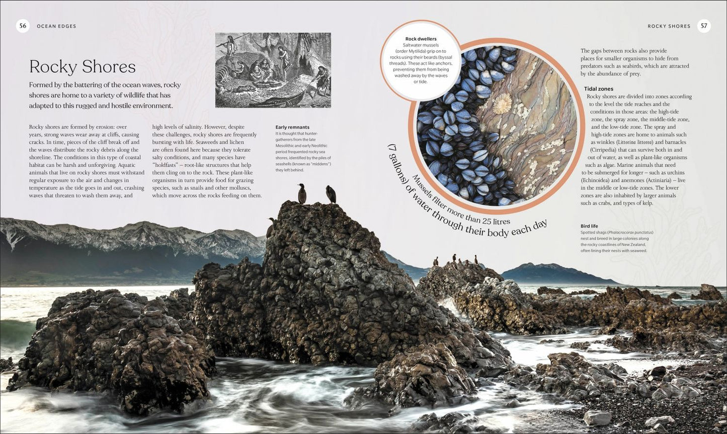The Ocean Book