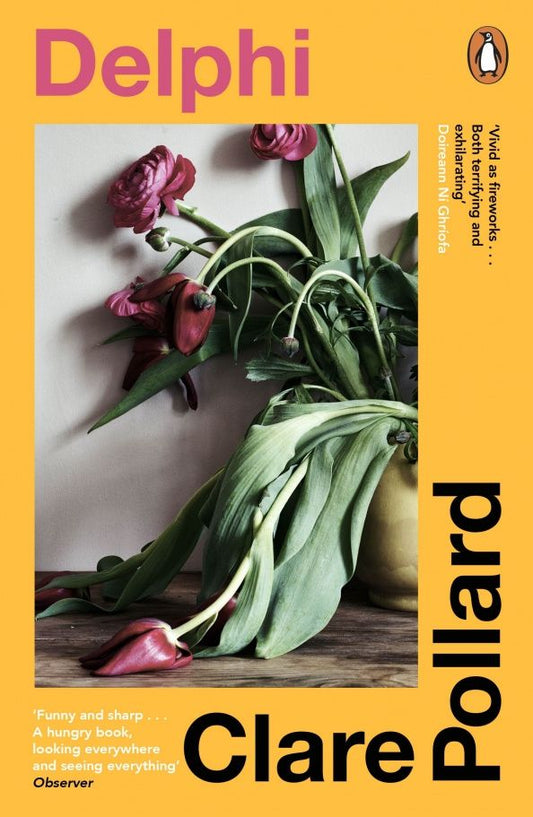 Clare Pollard: Delphi