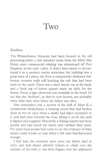Jojo Moyes: Silver Bay