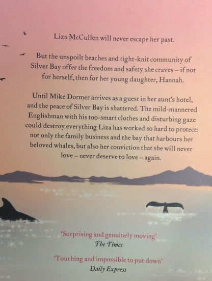 Jojo Moyes: Silver Bay