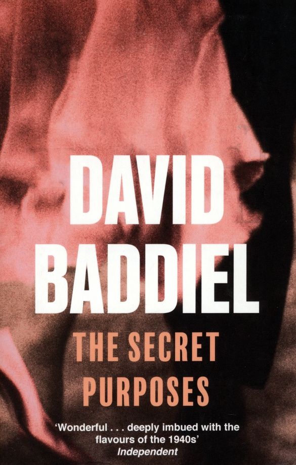 David Baddiel: The Secret Purposes