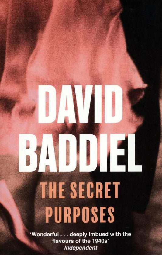 David Baddiel: The Secret Purposes