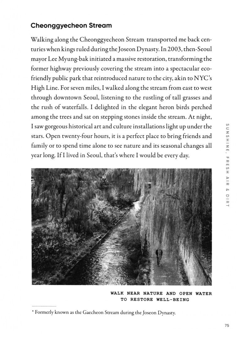 Michelle Bang: Sun and Ssukgat. The Korean Art of Self-Care, Wellness & Longevity