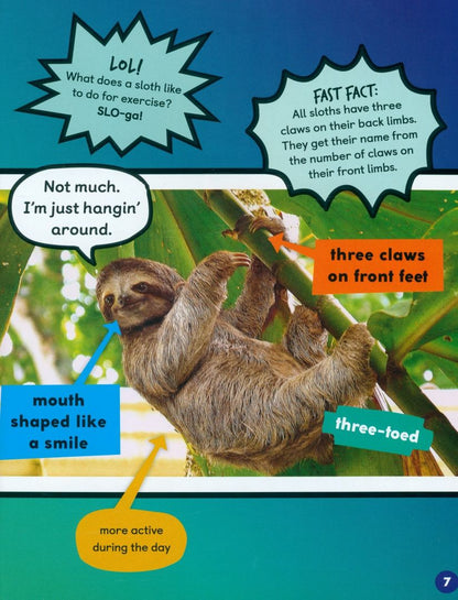 Lisa Herrington: Sloths