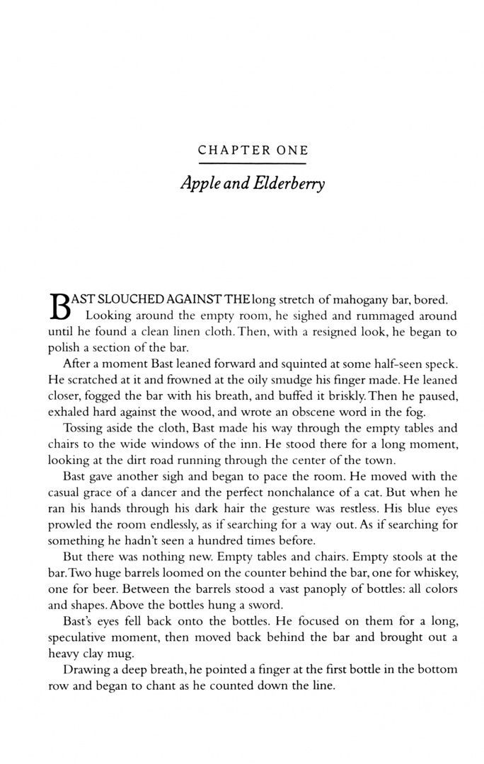 Patrick Rothfuss: The Wise Man's Fear
