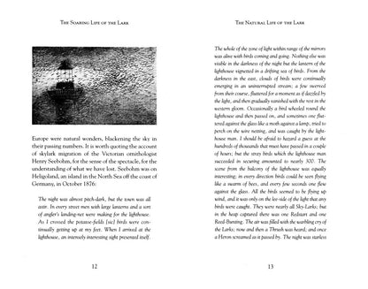 John Lewis-Stempel: The Soaring Life of the Lark
