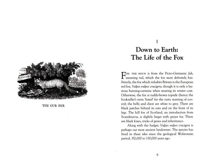 John Lewis-Stempel: The Wild Life of the Fox
