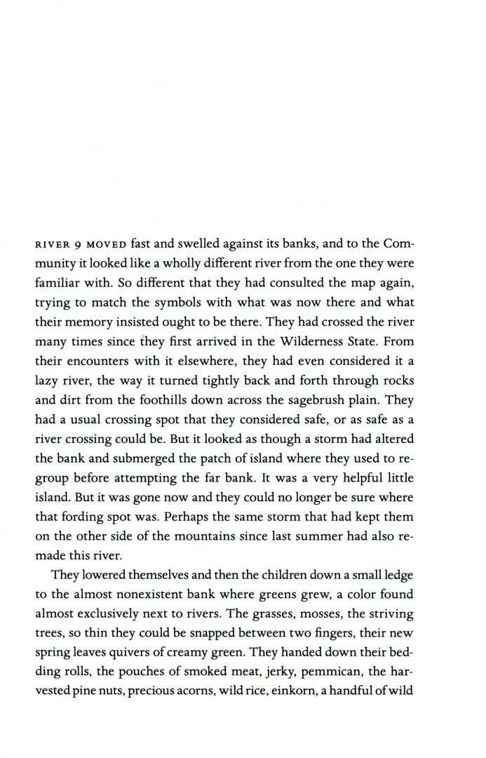 Diane Cook: The New Wilderness