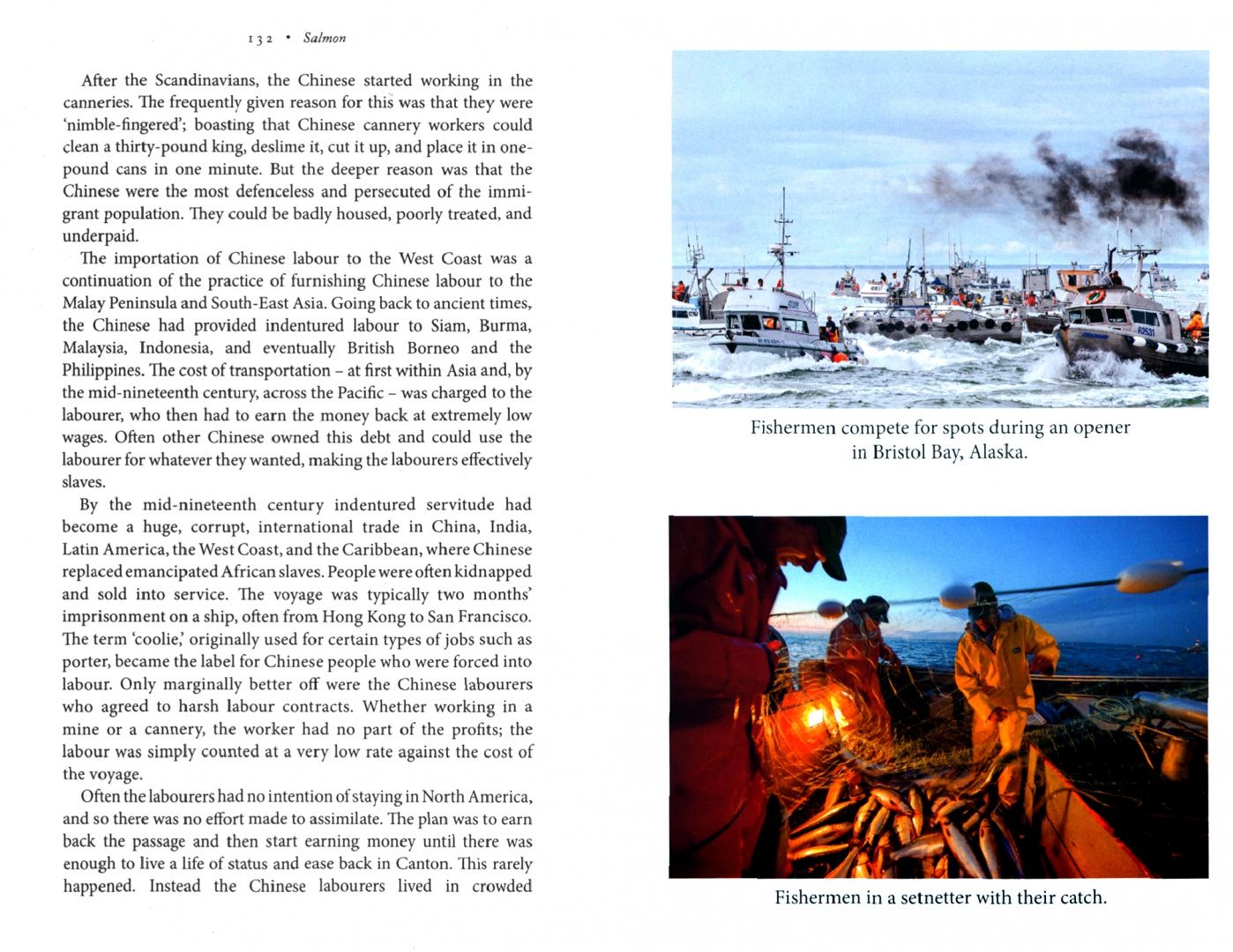 Mark Kurlansky: Salmon. A Fish, the Earth, and the History of a Common Fate