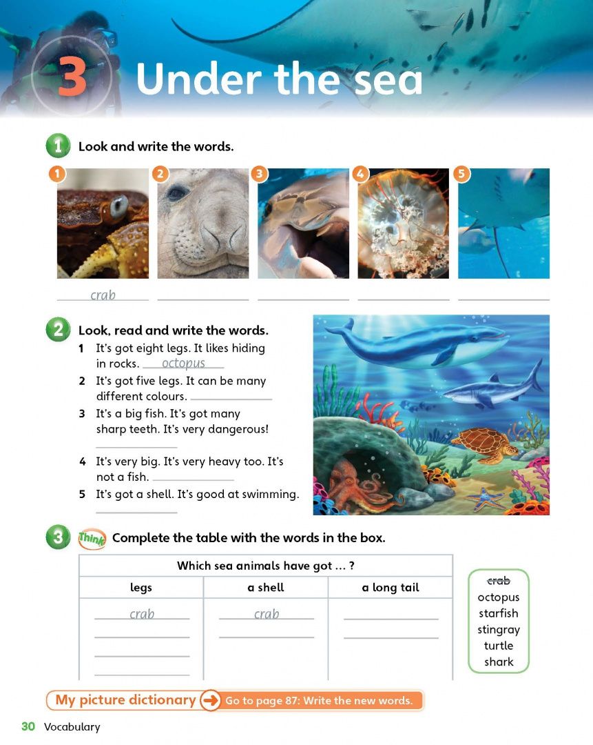 Lynne Robertson: Guess What! Level 5. Activity Book with Online Resources