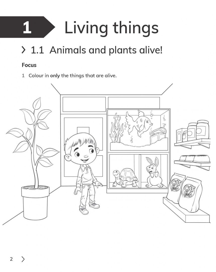 Jon Board: Cambridge Primary Science. 2nd Edition. Stage 1. Workbook with Digital Access