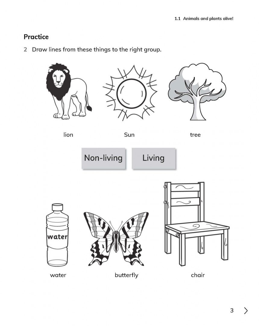 Jon Board: Cambridge Primary Science. 2nd Edition. Stage 1. Workbook with Digital Access
