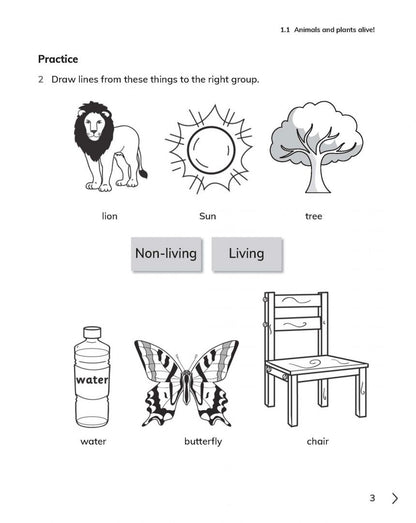 Jon Board: Cambridge Primary Science. 2nd Edition. Stage 1. Workbook with Digital Access