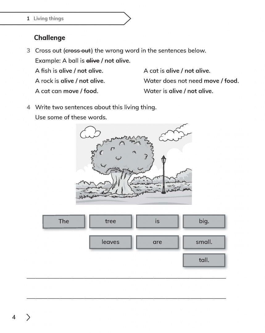 Jon Board: Cambridge Primary Science. 2nd Edition. Stage 1. Workbook with Digital Access