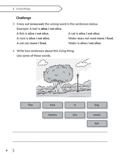 Jon Board: Cambridge Primary Science. 2nd Edition. Stage 1. Workbook with Digital Access