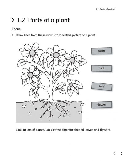 Jon Board: Cambridge Primary Science. 2nd Edition. Stage 1. Workbook with Digital Access