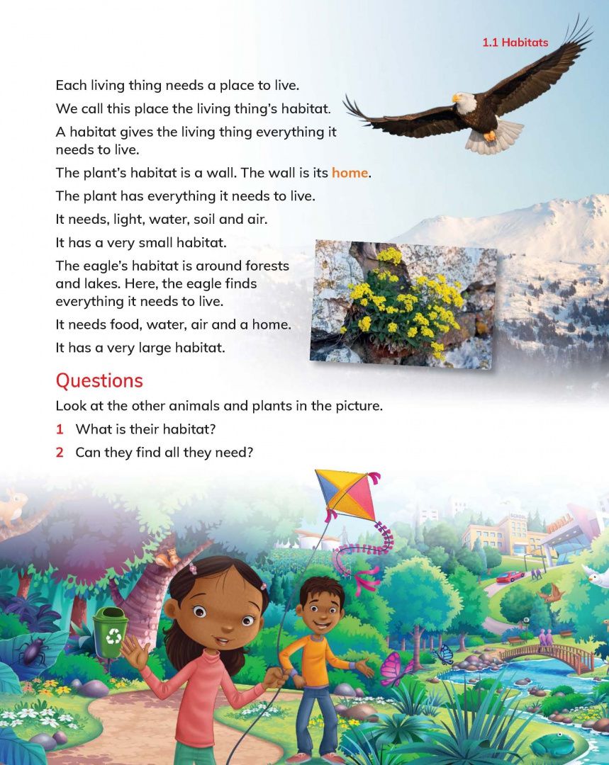 Jon Board: Cambridge Primary Science. 2nd Edition. Stage 2. Learner's Book with Digital Access