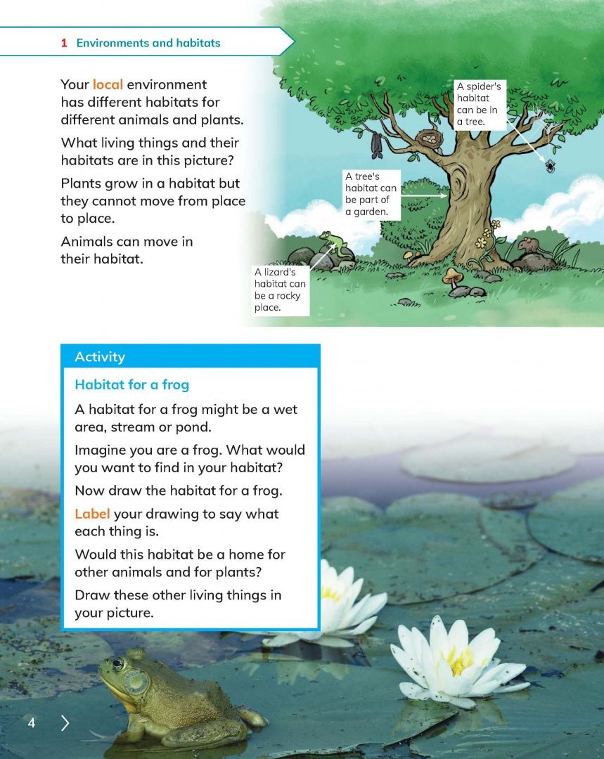 Jon Board: Cambridge Primary Science. 2nd Edition. Stage 2. Learner's Book with Digital Access