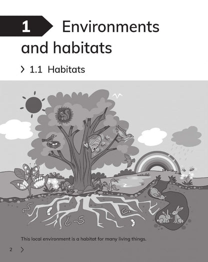 Jon Board: Cambridge Primary Science. 2nd Edition. Stage 2. Workbook with Digital Access