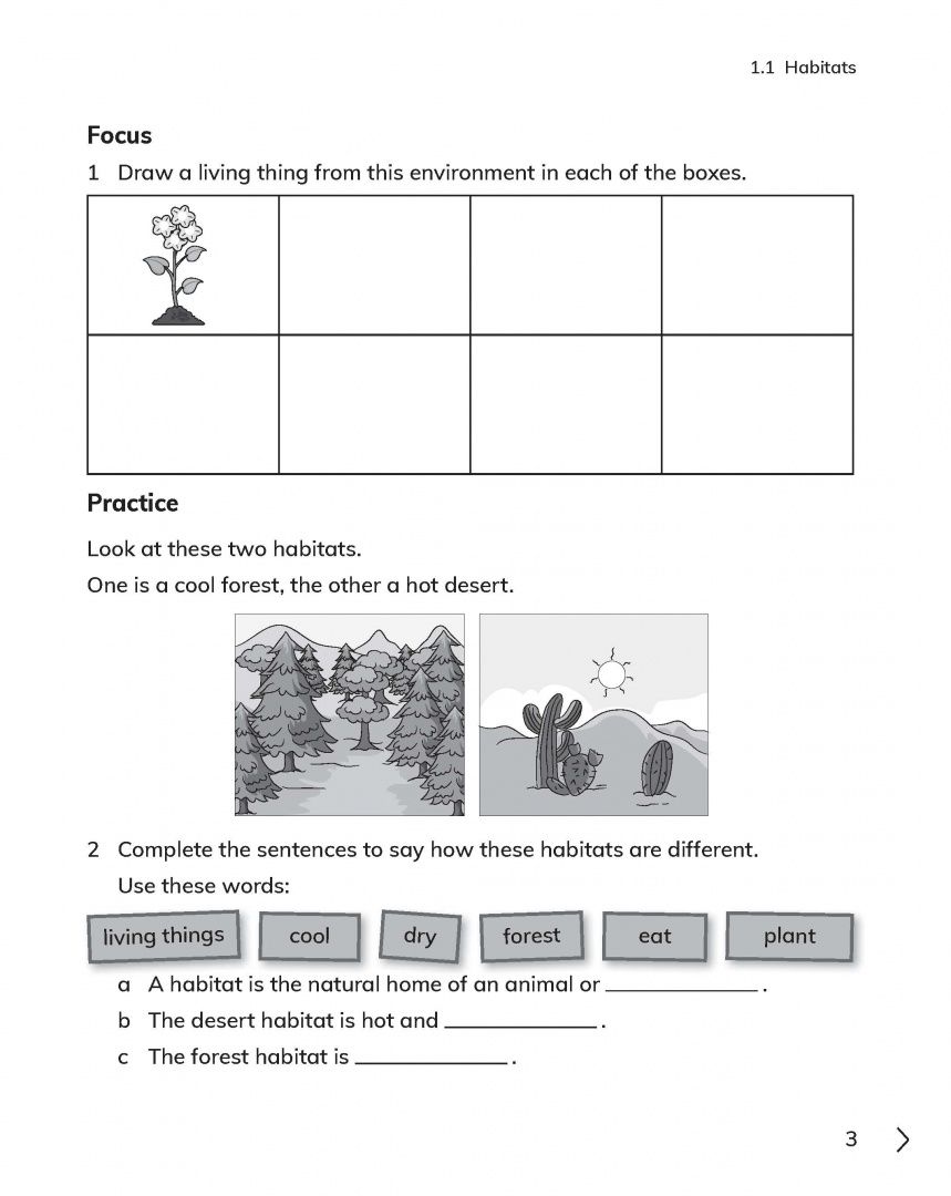 Jon Board: Cambridge Primary Science. 2nd Edition. Stage 2. Workbook with Digital Access