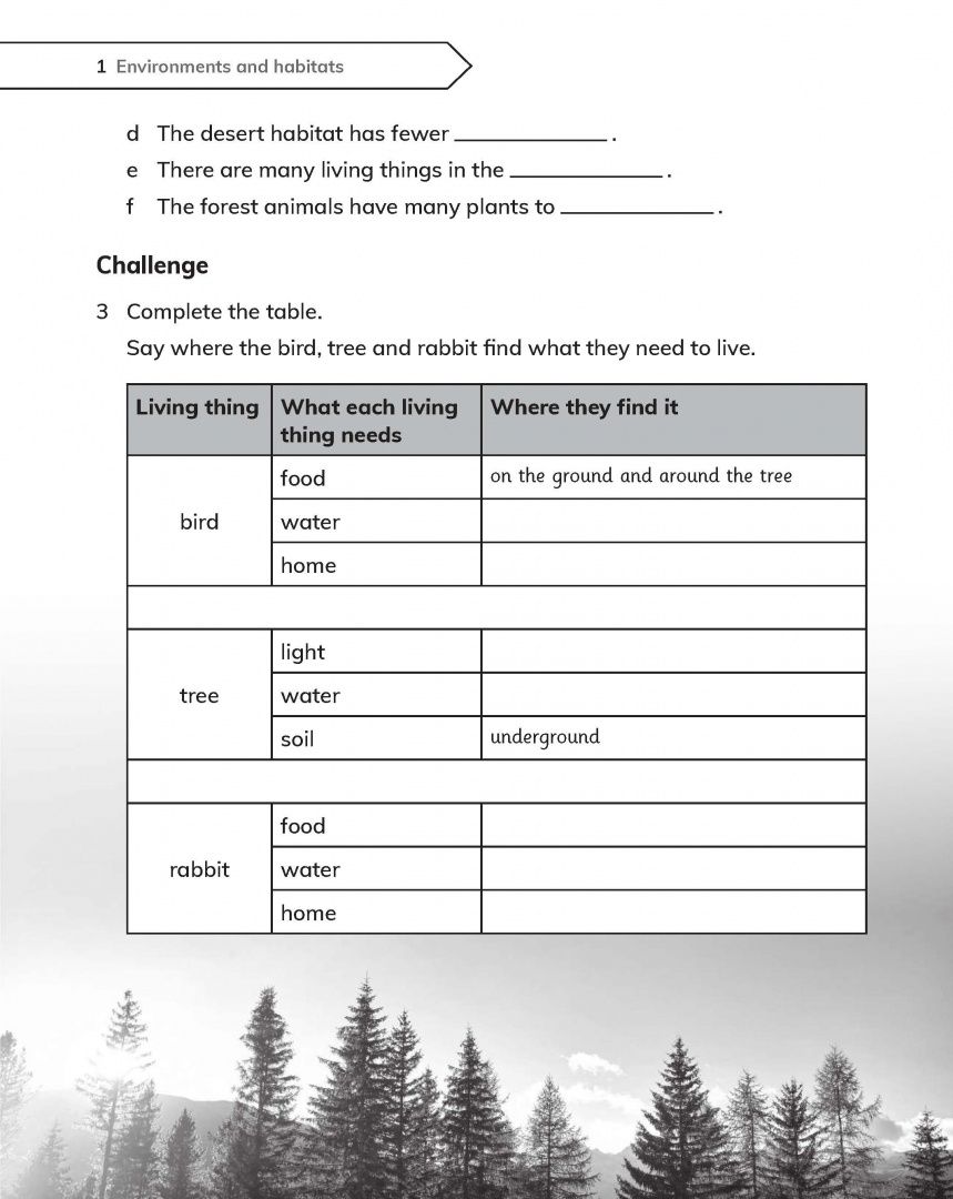 Jon Board: Cambridge Primary Science. 2nd Edition. Stage 2. Workbook with Digital Access
