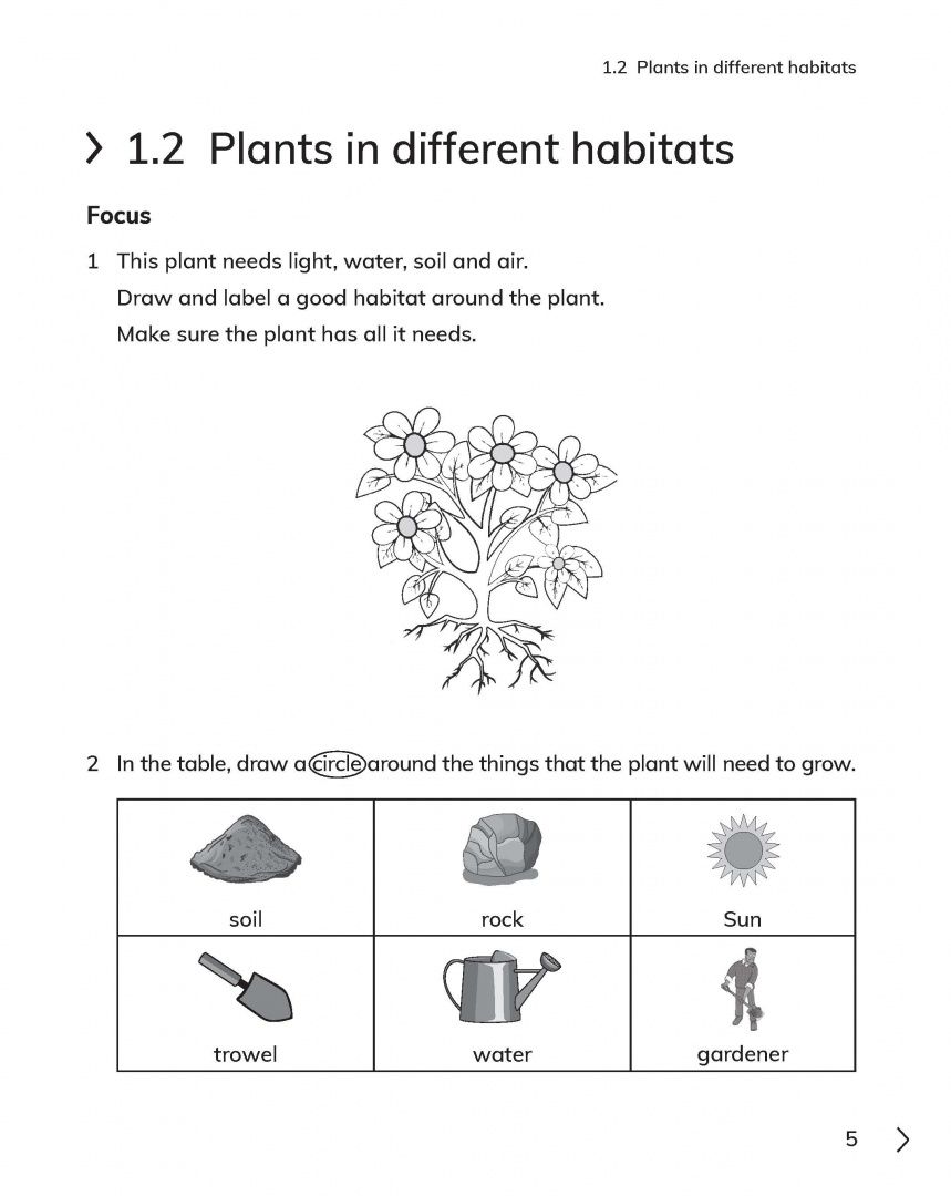 Jon Board: Cambridge Primary Science. 2nd Edition. Stage 2. Workbook with Digital Access