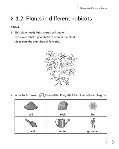 Jon Board: Cambridge Primary Science. 2nd Edition. Stage 2. Workbook with Digital Access
