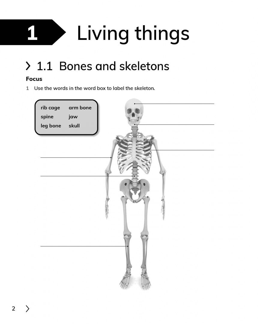 Fiona Baxter: Cambridge Primary Science. 2nd Edition. Stage 4. Workbook with Digital Access
