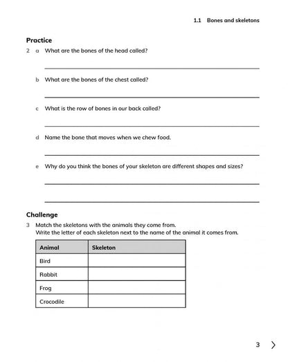 Fiona Baxter: Cambridge Primary Science. 2nd Edition. Stage 4. Workbook with Digital Access