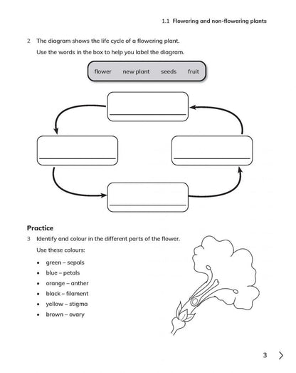 Fiona Baxter: Cambridge Primary Science. 2nd Edition. Stage 5. Workbook with Digital Access
