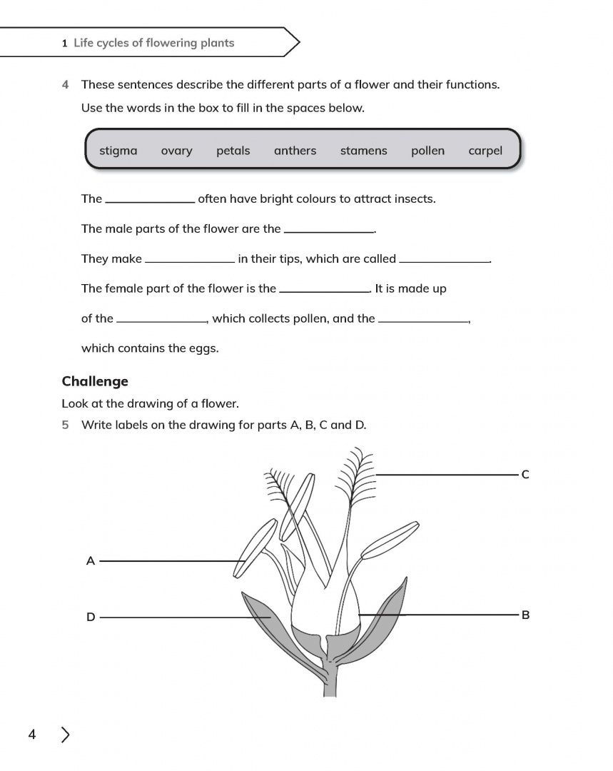 Fiona Baxter: Cambridge Primary Science. 2nd Edition. Stage 5. Workbook with Digital Access