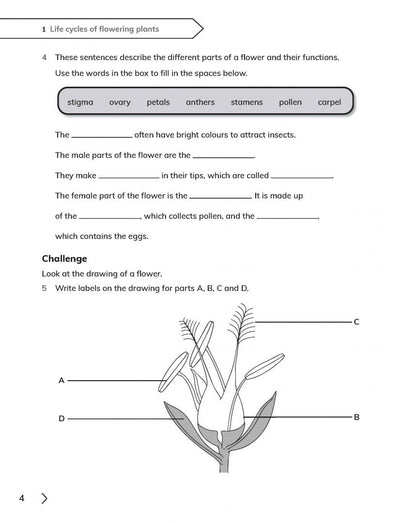 Fiona Baxter: Cambridge Primary Science. 2nd Edition. Stage 5. Workbook with Digital Access