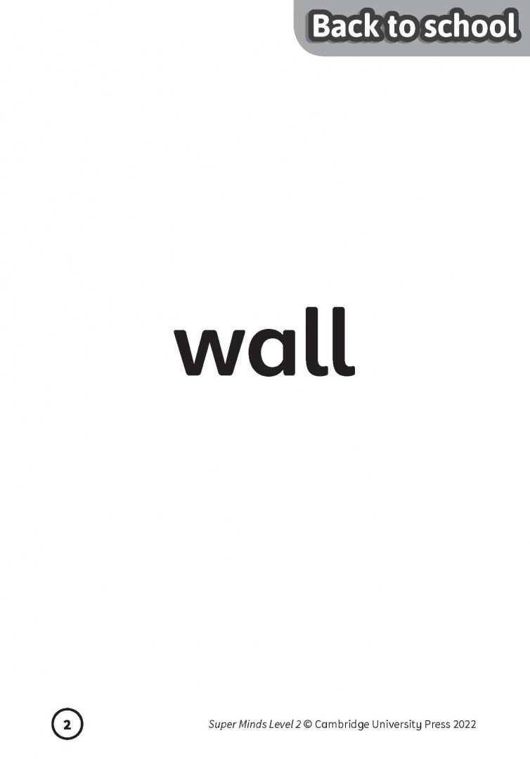 Peter Lewis-Jones: Super Minds. 2nd Edition. Level 2. Flashcards