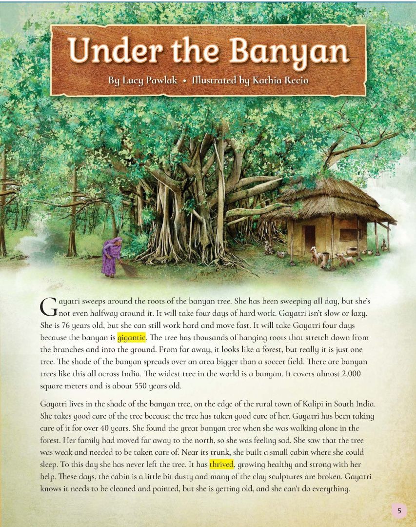 Cambridge Primary Reading Anthologies. Level 6. Student's Book with Online Audio