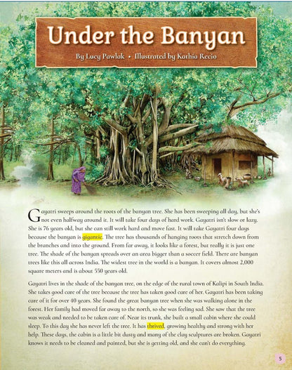 Cambridge Primary Reading Anthologies. Level 6. Student's Book with Online Audio