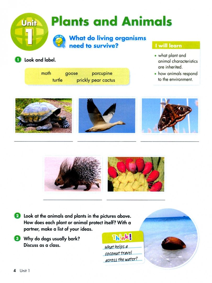 Big Science. Level 5. Student's Book