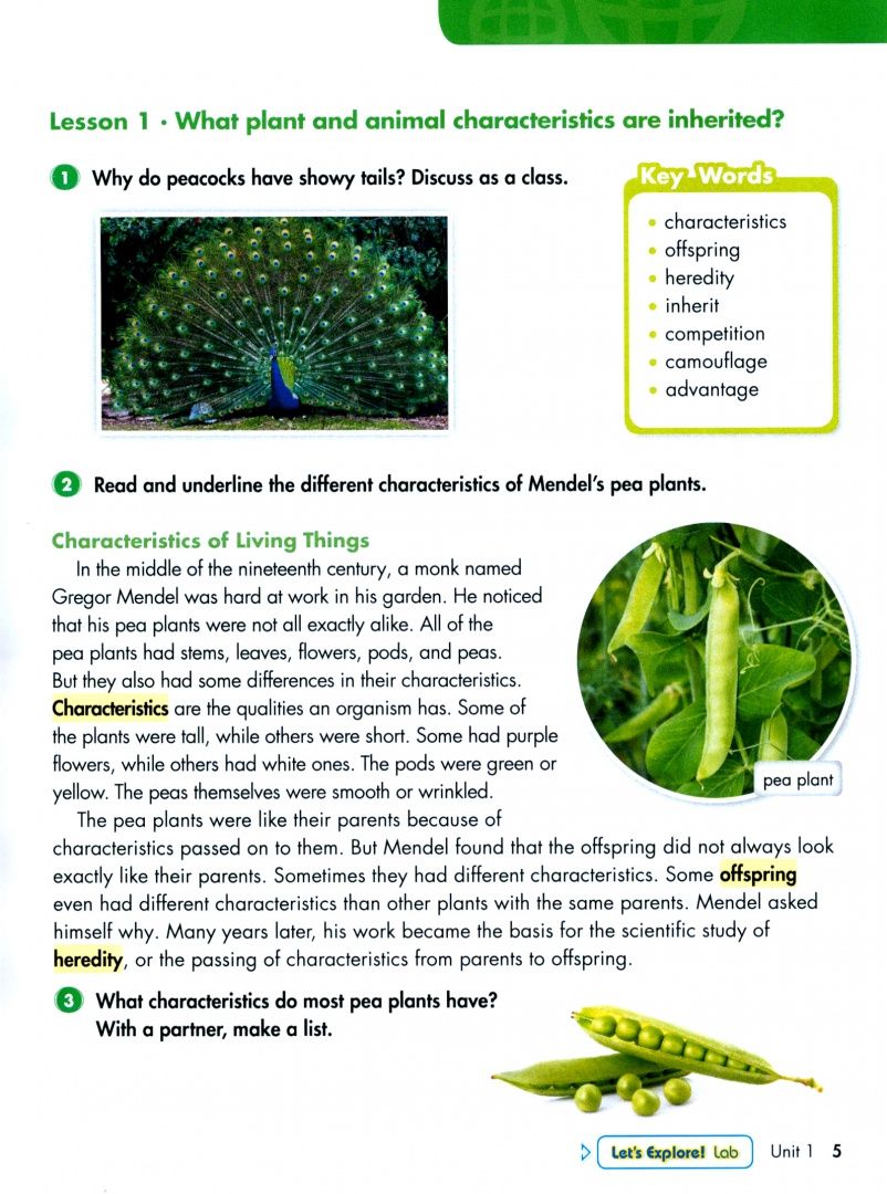 Big Science. Level 5. Student's Book