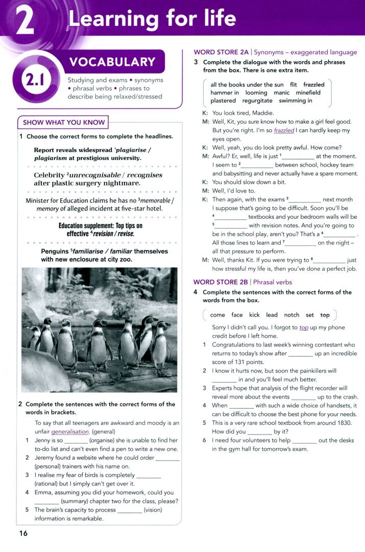 Beata Trapnell: Focus. Second Edition. Level 5. Workbook