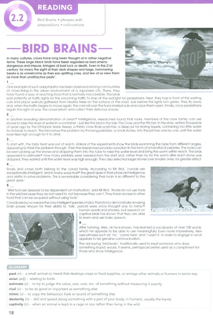 Beata Trapnell: Focus. Second Edition. Level 5. Workbook