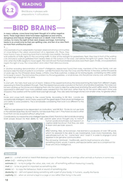 Beata Trapnell: Focus. Second Edition. Level 5. Workbook