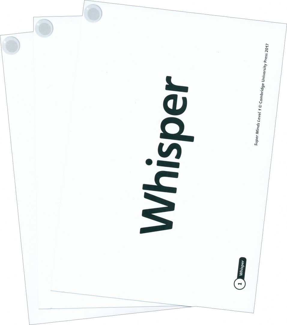 Peter Lewis-Jones: Super Minds. Level 1. Wordcards. Pack of 81