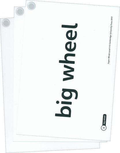 Peter Lewis-Jones: Super Minds. Level 4. Wordcards. Pack of 89