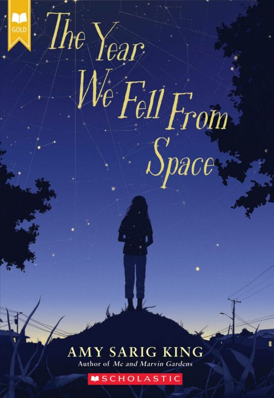 Amy King: The Year We Fell from Space