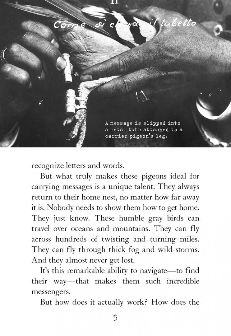 Lauren Tarshis: Courageous Creatures